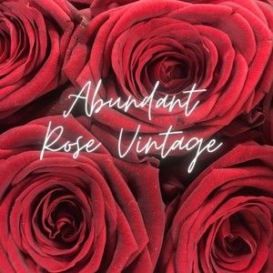 Meet your Posher, Cecilia